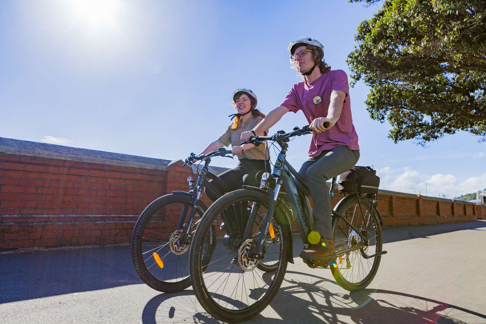 Discover Wellington by Bike